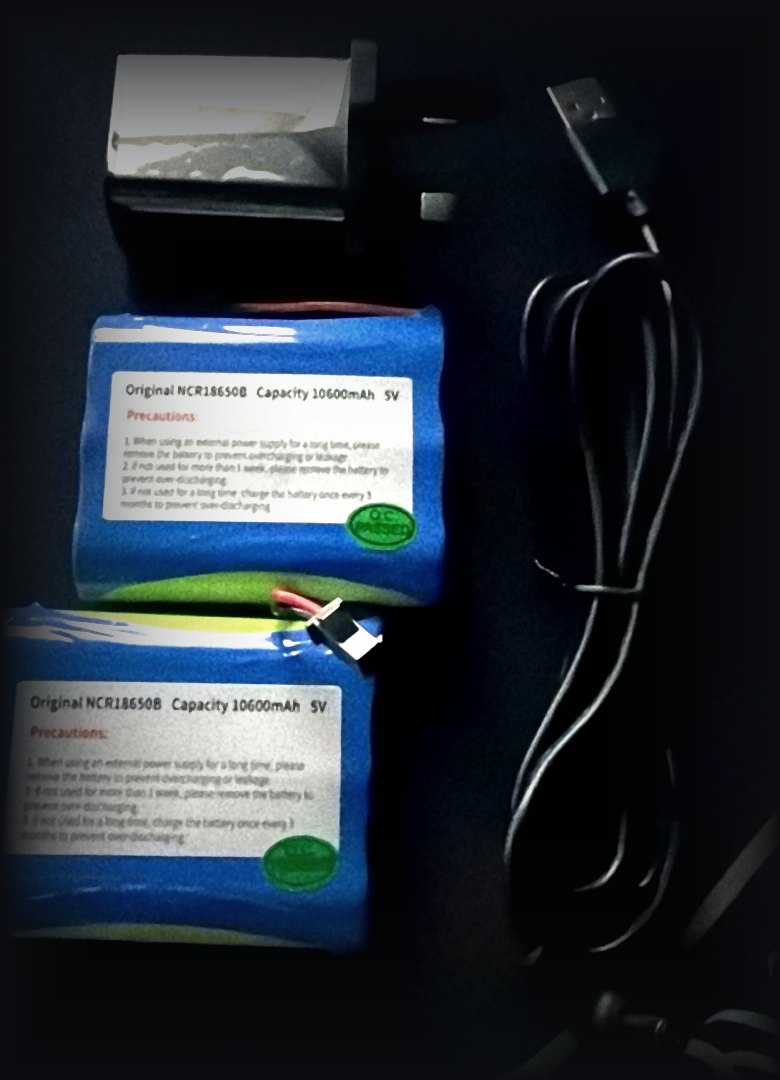 Cryova box contents: two battery packs, UAE 3-pin charger and USB cable